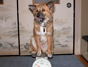 ���߂đ�����