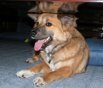 �t���͂Ȃ�