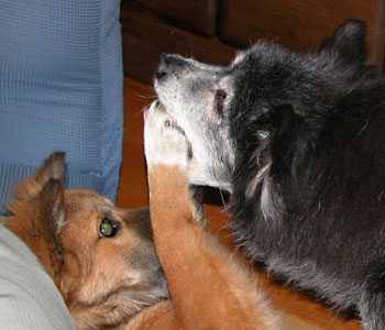 �����Ă݂�