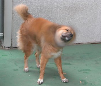 �����΂�