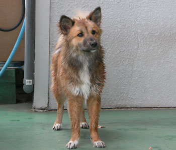 ����Ă��܂���