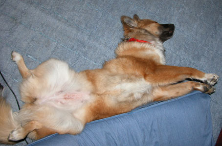 �N�l���ɂȂ��Ă���