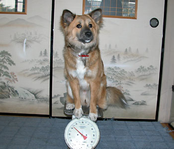 ���ꂾ���͂�߂Ăق���