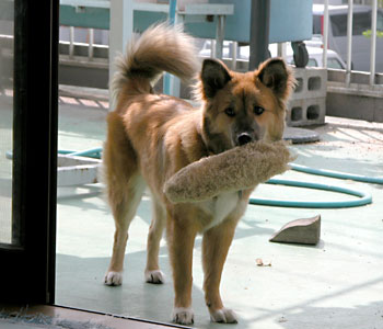 �ւ��܂��u�[����