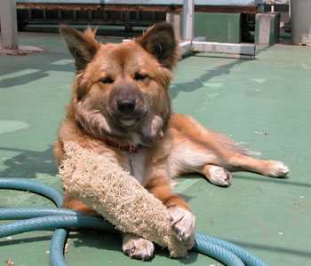 �����Ƃ�