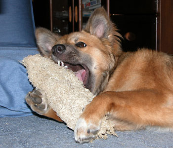 �ł��厖�ɂ͂��Ȃ�