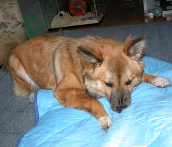 ���Q������̑��𚗂�