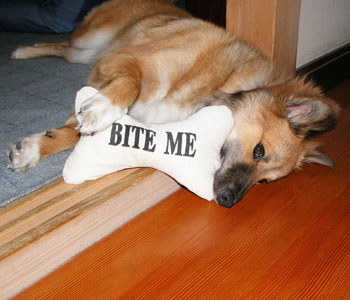 ����������͂Q���