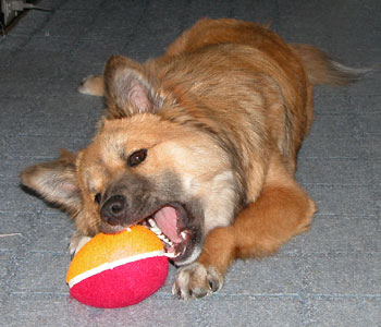 �܂�����