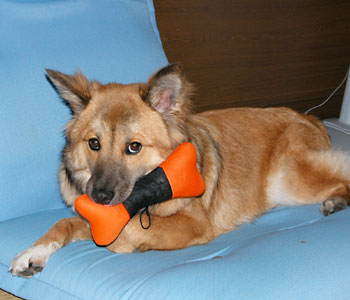 �܂��V��������