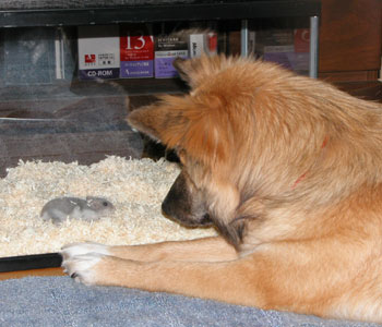 �}�������ƗF�B�ɂȂ肽��