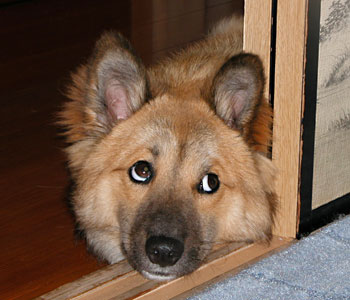 �Ă͘L����������