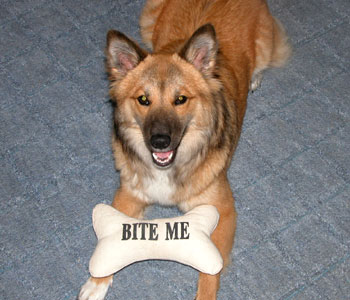 ��������ɂ͍���Ȃ�