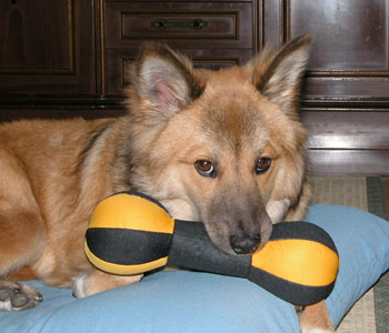 ��ו��͂Ȃ�ׂ������Ȃ�