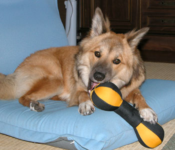 ���̂��ɕۑ���Ԃ͂悭�Ȃ�