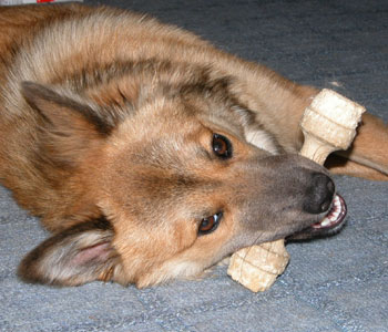 �Â����̂���؂�