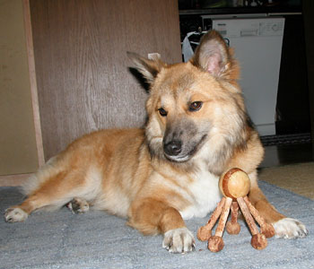 ���͍ŋ߁A�ҊԂ����䂢