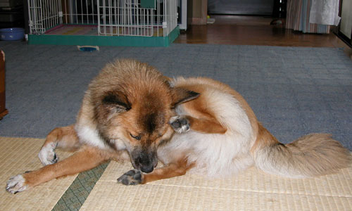 �@���c���͎����łȂ߂�