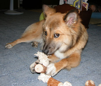 �V��������œ��ӂ�