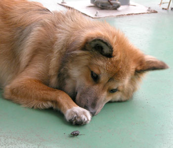 �F�B�ɂȂ肽��