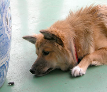 �������ꂽ�E�E�E