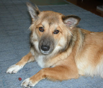 ���A�ق�ƂɐH�ׂ�