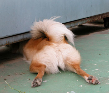 ����������Ƃ�