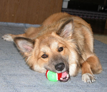 �d���Ȃ������l�ŗV��