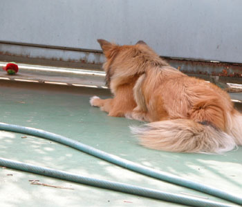 �܂�������