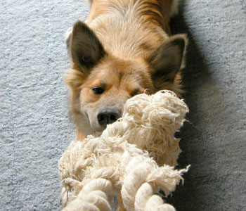 �j������D��