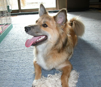 ���z�΂����ł���