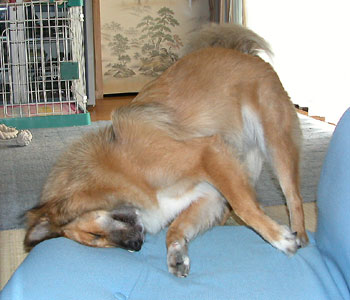 ���֎q�@��͓`��