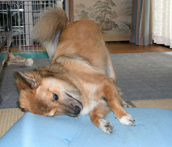 ���남������̋L�^�͓`���ɂȂ��Ă���