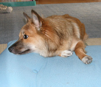 ���ĉ�ɕԂ�