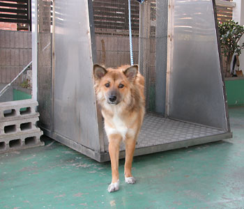 �U���͐�p���t�g�ōs��