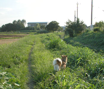 �����L�т�Ɩ��܂�U����