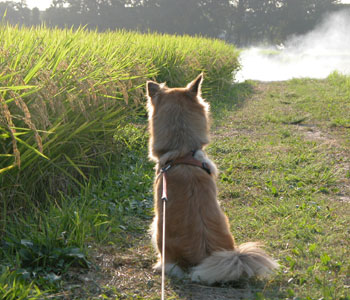 ���A�R���Ă�E�E�E