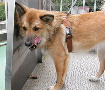 �����̎U���ł͏������F�B�̈�̂𔭌�