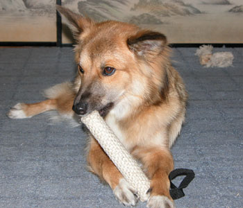 �C�ɓ������̂ɐ����ŕ��󂵂��I���`��