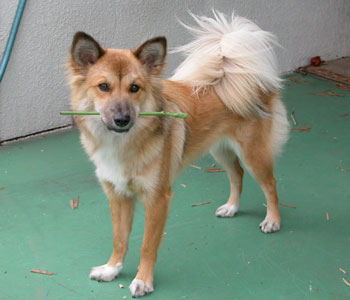 �_��������