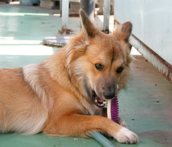 ���݂����I���`���͂Q��