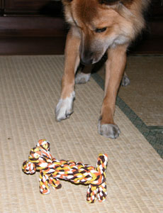 �Ȃ񂩋����I