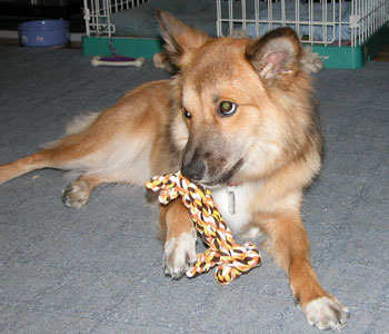 �����T���߂Ɏ����Ă݂�