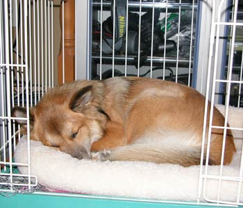 �H�Ȃ̂ł��������}�b�g���������