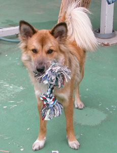 �V�т����Ȃ�ƒN���Ɏ����čs��