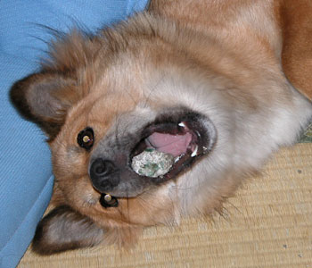 ��������ėV��