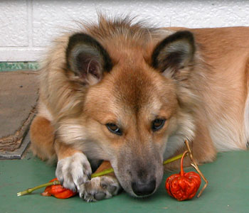 �������Ǘ����Ȃ�