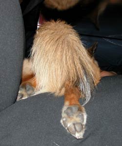 ���͂���Ȋ���