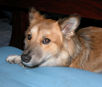 ���̍��֎q�͌�������񂾂��