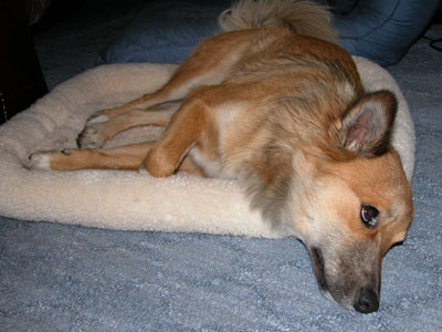 ����������������C�ɓ���